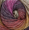 1x King Cole Riot Chunky 70% Acrylic 30% Wool 100g Crochet and Knitting Yarn