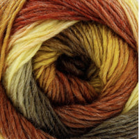 1x King Cole Riot DK 70% Acrylic 30% Wool 100g Crochet and Knitting Yarn