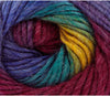 1x King Cole Riot Chunky 70% Acrylic 30% Wool 100g Crochet and Knitting Yarn