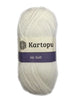 1x Kartopu AK Soft 100% Acrylic 100g Crochet and Knitting Yarn