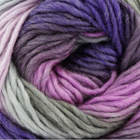 1x King Cole Riot Chunky 70% Acrylic 30% Wool 100g Crochet and Knitting Yarn