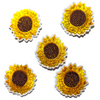 Multi Pcs Flower Theme Sew-On Iron-On Embroidered Applique Patches