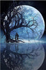 1x 5D Full Drill Moonlight Resin Diamond Art Dots Embroidery Painting Art Kit