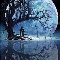 1x 5D Full Drill Moonlight Resin Diamond Art Dots Embroidery Painting Art Kit