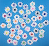 40x  White  18mm Daisy Flower Multicolour Center Sew On Glue On Applique Patch