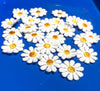 24x White Daisy Flower w/ Light Orange Centre Embroidered Sew On Applique Patch